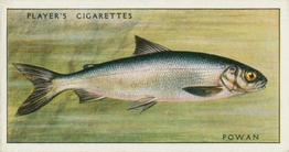 1933 Player's Fresh-Water Fishes #32 Powan Front