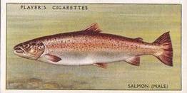 1933 Player's Fresh-Water Fishes #37 Salmon (male) Front