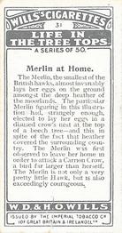 1925 Wills's Life in the Tree Tops #31 Merlin at Home Back