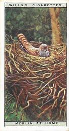 1925 Wills's Life in the Tree Tops #31 Merlin at Home Front