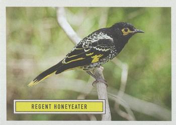 2020 Topps On Demand Benefit for Australia #10 Regent Honeyeater Front