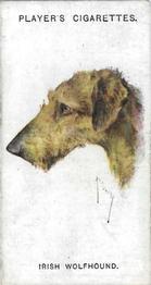 1931 Player's Dogs' Head (A. Wardle Paintings) #50 Irish Wolfhound Front