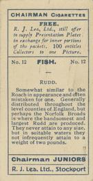 1926 Chairman Cigarettes Fish #12 Rudd Back