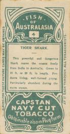 1912 Capstan Navy Cut Tobacco Fish of Australasia #4 Tiger Shark Back