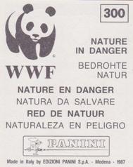 1987 Panini WWF Nature in Danger Stickers #300 Earthworm Back