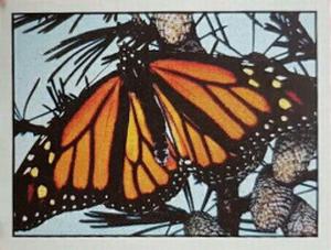 1986 Panini Threatened Animals Stickers #34 Monarch Butterfly Front