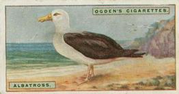 1924 Ogden's Foreign Birds #1 Albatross Front