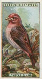 1924 Ogden's Foreign Birds #15 Purple Finch Front