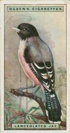 1924 Ogden's Foreign Birds #27 Lanceolated Jay Front