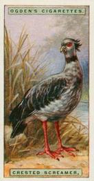 1924 Ogden's Foreign Birds #38 Crested Screamer Front