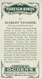 1924 Ogden's Foreign Birds #41 Scarlet Tanager Back