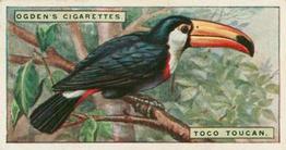 1924 Ogden's Foreign Birds #45 Toco Toucan Front