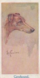 1924 Moustafa Leo Chambers Dogs Heads #24 Greyhound Front