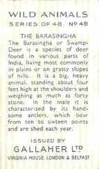 1937 Gallaher Wild Animals #48 Barasingha Back