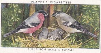 1955 Player's Birds and Their Young (Second Series) (Unreleased) #1 Bullfinch Front