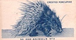 1954 Turf Zoo Animals #4 Crested Porcupine Front