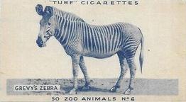 1954 Turf Zoo Animals #6 Grevy's Zebra Front