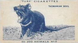 1954 Turf Zoo Animals #10 Tasmanian Devil Front