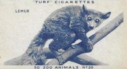 1954 Turf Zoo Animals #20 Lemur Front
