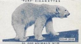 1954 Turf Zoo Animals #28 Polar Bear Front