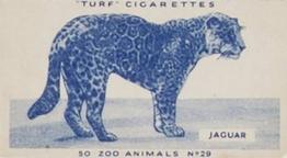 1954 Turf Zoo Animals #29 Jaguar Front