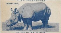 1954 Turf Zoo Animals #36 Indian Rhino Front