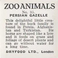 1955 Dryfood Zoo Animals #35 Persian Gazelle Back