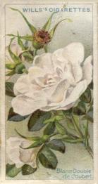 1912 Wills's Roses #4 Blanc Double De Coubert Front