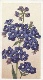 1939 Godfrey Phillips Annuals #2 Anchusa Front