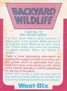 1981 Weet-Bix Backyard Wildlife #19 Red Velvet Mites Back