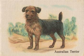 1913 British American Tobacco Best Dogs of their Breed #32 Australian Terrier Front