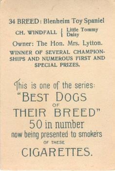 1913 British American Tobacco Best Dogs of their Breed #34 Blenheim Toy Spaniel Back
