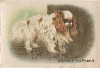 1913 British American Tobacco Best Dogs of their Breed #34 Blenheim Toy Spaniel Front