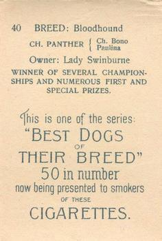 1913 British American Tobacco Best Dogs of their Breed #40 Bloodhound Back