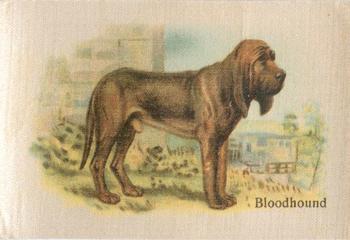 1913 British American Tobacco Best Dogs of their Breed #40 Bloodhound Front