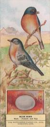 1924 Patterson Candy Birds (V75) #15 Blue Bird Front