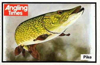 1987 Angling Times Collect-a-Card (Fish) #14 Pike Front