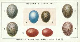 1932 Ogden's Colour In Nature #20 Eggs of Cuckoos and their Dupes Front