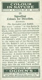 1932 Ogden's Colour In Nature #26 Springbok and Rabbit Back