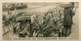 1929 Carreras Malayan Industries #10 Transplanting Oil Palm Seedlings, Malaya Front