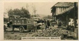 1929 Carreras Malayan Industries #24 Unloading Pineapples, Malaya Front