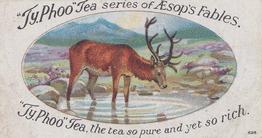 1924 Ty-phoo Tea Aesop's Fables #12 The Stag Looking into the Water Front