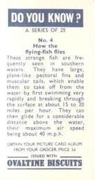 1965 Ovaltine Biscuits Do You Know? #4 How the flying-fish flies Back