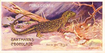 1907 Gartmann Reptilien (Reptiles) Serie 184 #3 Die Perleidechse Front