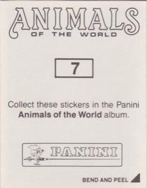 1990 Panini Animals of the World Stickers #7 Sticker 7 Back
