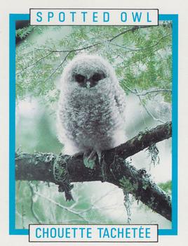 1990 Kellogg's Canadian Wildlife Federation #NNO Spotted Owl Front