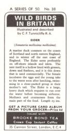 1973 Brooke Bond Wild Birds in Britain #38 Eider Back