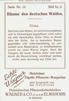 1929 Echte Wagner Baume des deutschen Waldes II (Trees of the German Forests) Album 2, Serie 13 #5 Uhne Back