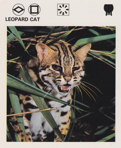 1975-80 Leisure Books Wildlife Treasury #7179-12 Leopard Cat Front