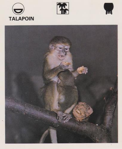 1975-80 Leisure Books Wildlife Treasury #7181-12 Talapoin Front